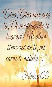 We did not find results for: About Frases De Dios De Fortaleza Google Play Version Apptopia