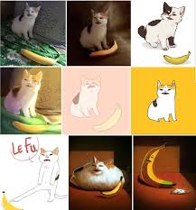 The Many Pictures Of Cat And Banana Animal Memes Cat Memes Dog Memes