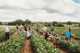 Maybe you would like to learn more about one of these? Moon Valley Farm Home Facebook