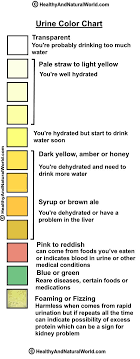 What Can Your Urine Tell You About Your Health Color Of