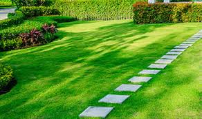 Get free quotes in minutes from reviewed, rated & trusted lawn experts on airtasker. Local Lawn Care Services Taskrabbit