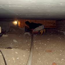 The other types of inspections do include supplemental among others. Pest Termite Inspections Inspect My Home