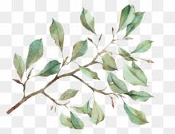 Why do you paint all those pictures of flowers? Watercolor Painting Leaf Illustration Watercolor Leaves Leaves Png Free Transparent Png Clipart Images Download