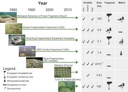 Maybe you would like to learn more about one of these? Habitat Fragmentation And Its Lasting Impact On Earth S Ecosystems Science Advances