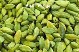 Maybe you would like to learn more about one of these? Anim Agro Technology Fakta Buah Pelaga