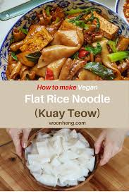 Homemade Flat Rice Noodles Kuay Teow Gluten Free Woonheng Recipe In 2020 Flat Rice Noodles Recipe Vegan Asian Recipes Rice Noodles