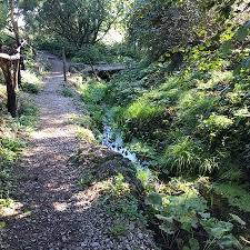 The botanical garden in klein flottbek has been called loki schmidt garden since 2012. Loki Schmidt Garten Botanical Garden Picture Of Loki Schmidt Garten Botanical Garden Hamburg Tripadvisor