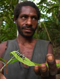 Wanang Conservation Area