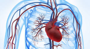 Kollaps tradixionales makes no apologies for this shift, but it does defuse 13 blues' sometimes oppressive air by reconciling the band's current incarnation with its more graceful earlier output. Kollaps Ohnmacht Synkope