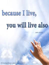 John 14 19 John 14 Spiritual Quotes John