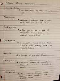 Skeletal Muscle Vocabulary How To Study Anatomy Human Anatomy And Physiology Medical School Stuff