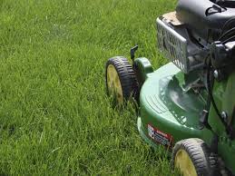 Parasites and predators biological control uses natural enemies that are parasitoids, predators and/or pathogens to manage insect and mite pest populations. How To Maintain A Healthy Lawn Landscape Ontario