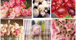 Cheaper Peony Replacement Flowers For Your Wedding And Garden Too Flowers For You Country Wedding Flowers Ranunculus Flowers