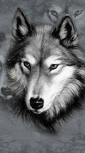 Lone Wolf Mitolojik Yaratiklar Hayvan Hayvanlar