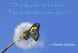 It happened in my backyard, too, if the magic was strong enough. Inspirational Butterfly Quotes Facebook Best Of Forever Quotes