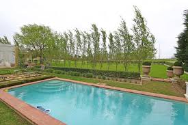 Exquisite Lifestyle Farm For Sale In Durbanville Small Backyard Pools Outdoor Pool Swimming Pool Liners