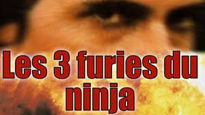 Regarder vos séries vf et vostfr en streaming hd gratuit, voir les derniers films en ligne gratuitement et sans inscription, et bien plus en illimité. Les 3 Furies Du Ninja Film Entier Vf Francais By Kung Fu Legend
