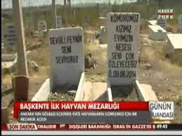 Golbasi Na Hayvan Mezarligi Yapildi Youtube