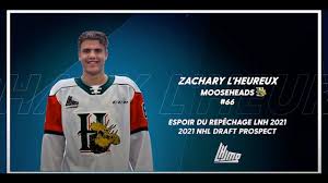 Animated series about bad cops. Justin Robidas Espoirs Du Repechage Lnh 2021 2021 Nhl Draft Prospects Youtube