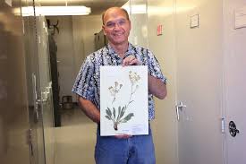 Image result for Thesium unyikense