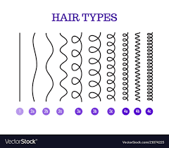 A Hair Types Chart