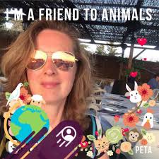 What apartments in Estepona are available for 3 people near the beach and  old town from May 7-18?