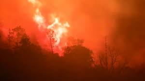 Incendie monstre dans le var: Zwg9vfgqundscm