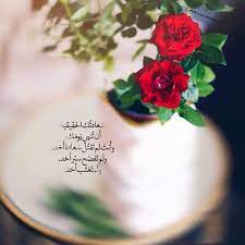 pin by linda لندا on الحياة حلوة arabic quotes islamic information islam quran