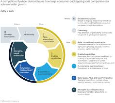 The Organizational Agenda In Consumer Packaged Goods Mckinsey