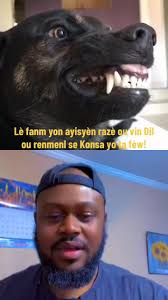 Chak chen sa yo konn plas kote yo chita. #haitianlafrance #haitien  #haitiancanadian #Haiti #haitianamerican #unitestates #usa