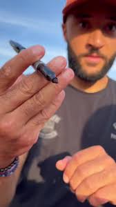 Interview with Nathan Redmond after Victory Over Arsenal