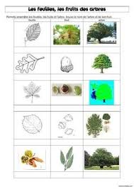 Ddm Les Feuilles Les Fruits Et Les Arbres De Notre Bois Franzosische Schule Lernen Natur