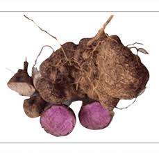 Image result for Dioscorea alata