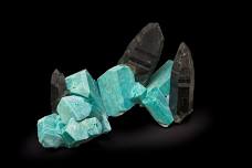 Colorado Mineral & Fossil Fall Show