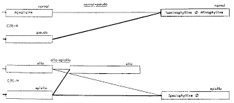 Image result for Mitragyna rubrostipulata