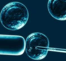 Informații complete despre celulele stem. Celulele Stem Miracolul VieÅ£ii Vezi Ce Boli Pot Fi Tratate Cu Celule Stem