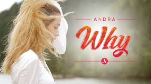 Andra | 881 followers on linkedin. Andra Why Official Video Youtube