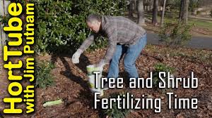 These active periods of pushing out new growth benefit greatly from the additional nutrients provided by shrub fertilizer, and feeding flowering shrubs after they have bloomed encourages the growth of more. The Best Fertilizer For Trees And Shrubs Fertilizing Guides