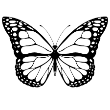 Butterfly coloring pages are created both for toddlers who are just starting to explore the world around them, and for older kids. Free Printable Butterfly Coloring Pages For Kids Butterfly Clip Art Butterfly Printable Butterfly Outline