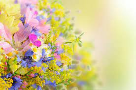 The high definition colours and the supreme clarity of print will surely. Pretty Flowers Wallpapers Top Free Pretty Flowers Backgrounds Wallpaperaccess