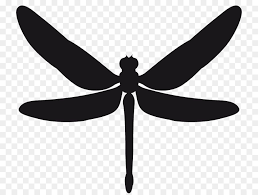 Pochoir Autocollant Libellule Insectes Libellule Unlimited Download Kisspng Com Dessin Libellule Pochoir Insecte Libellule