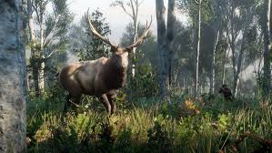 elk seem to be able to use it to communicate very well. Where To Find Elk In Red Dead Redemption 2 Allgamers