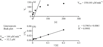 Ppt - Enzymology Lecture 5 Powerpoint Presentation, Free Download -  Id:1422809