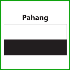 Bendera pahang hitam adalah warna kebesaran bendahara melambangkan bahawa pada suatu ketika dahulu pemerintah di negeri pahang adalah. Pahang Flag 3x6ft Bendera Pahang 3x6ft Polyester Shopee Malaysia