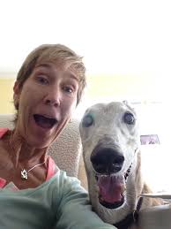 Bowser's Buddy Pet Care