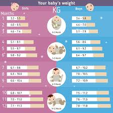 12 Experienced Newborn Month To Month Weight Chart