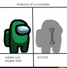 Anatomy Of A Crewmate Amongus