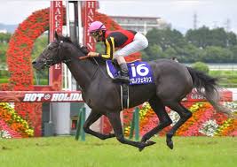 2021年6月27日、上半期を締めくくるグランプリ「宝塚記念」が阪神競馬場で開催される。 昨年、圧勝したクロノジェネシスが連覇を果たすのか。 となるとド真ん中すぎるので…… せめてレイパパレを1着固定にして夢を託すつもり。 とはいえ、なんだか今年の宝塚記念は大荒れす. ç«ä¸‹éŠã®ç«¶é¦¬äºˆæƒ³ãƒ–ãƒ­ã‚°