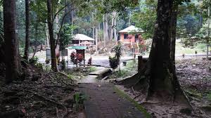 Hutan lipur bukit lagong şehrindeki en yüksek puanlı kiralık tatil yerleri. Mohd Faiz Bin Abdul Manan Hutan Lipur Lenggeng