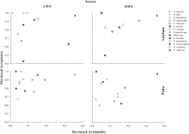 Image result for Eragrostis humidicola